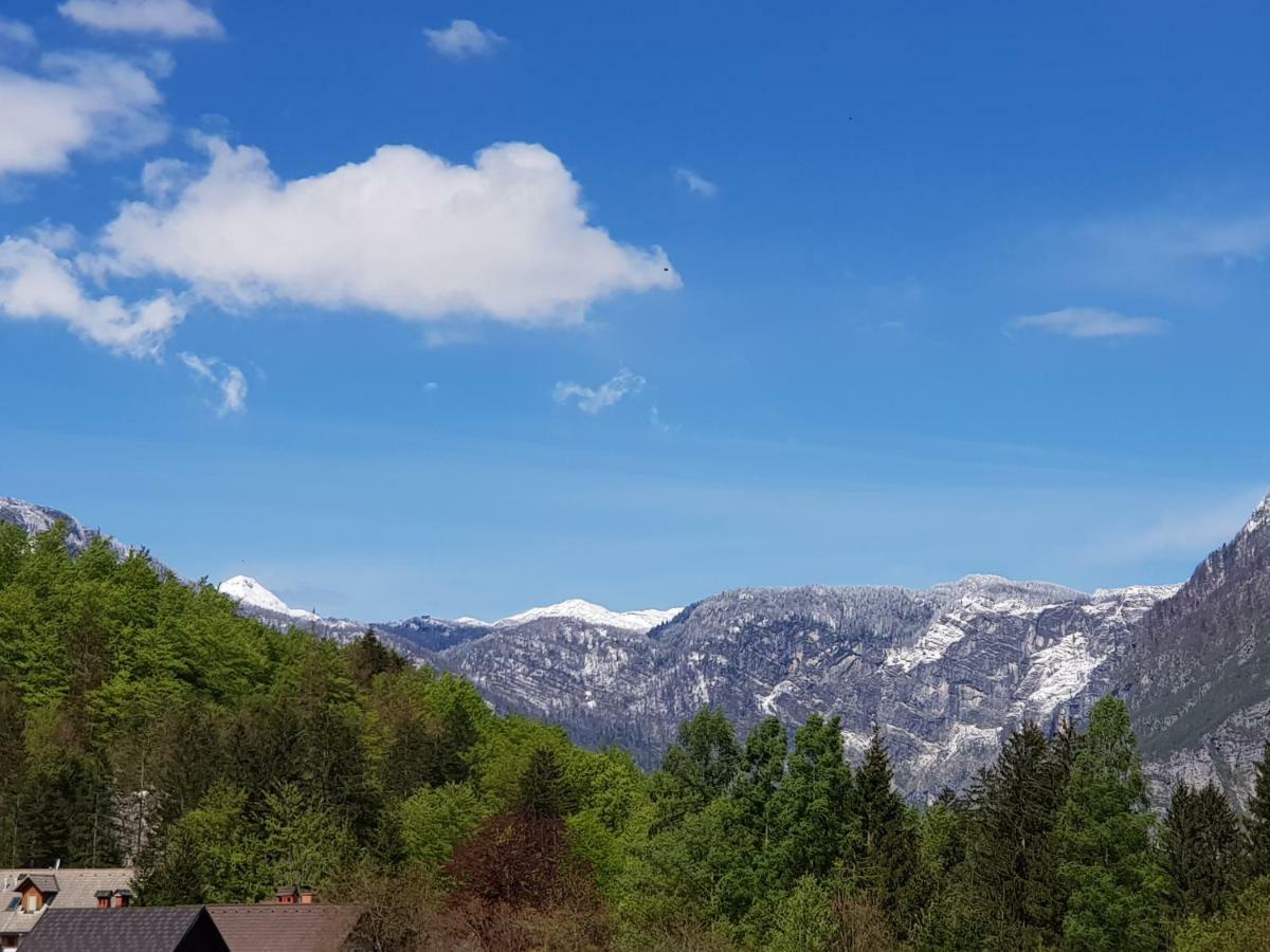 โรงแรมกาสเปริน โบฮินี Bohinj ห้อง รูปภาพ